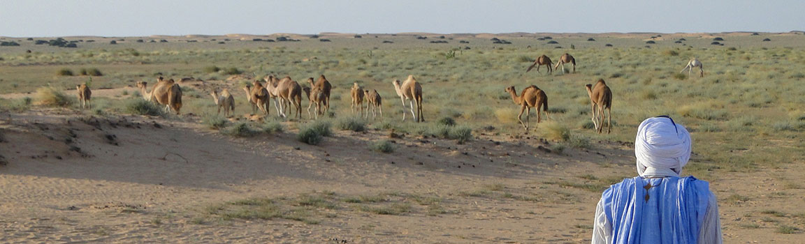 Mauritanija