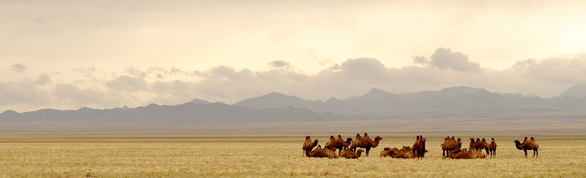 Mongolija