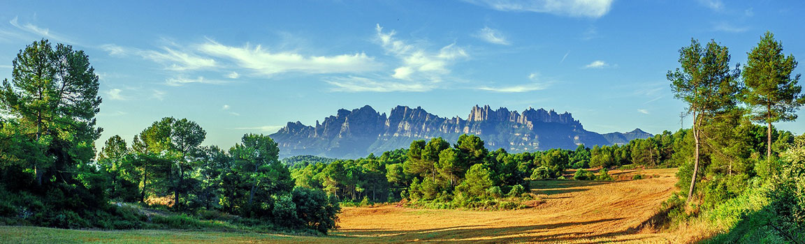 Pozivni broj: 664 (+1664) - Plymouth, Montserrat