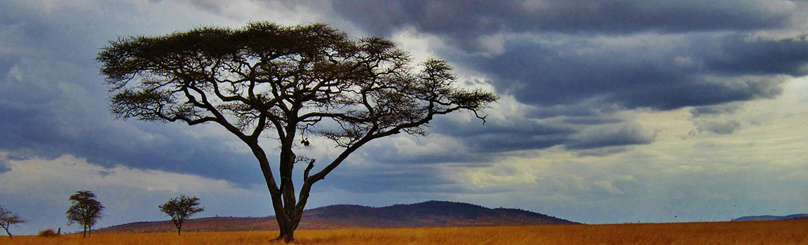 Tanzanija