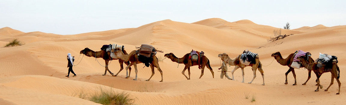 Tunis